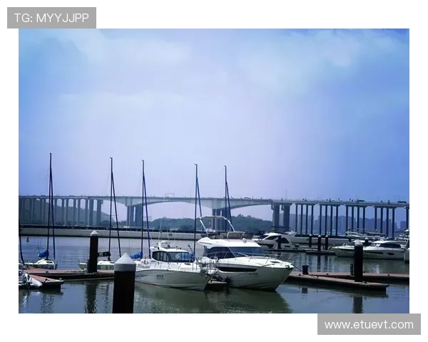 加入206游艇会享受私人定制的海上旅游路线，体验奢华游艇带来的极致舒适感