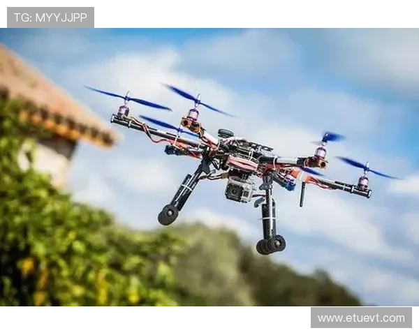 快鱼体育如何打造青少年专属的个性化运动训练平台