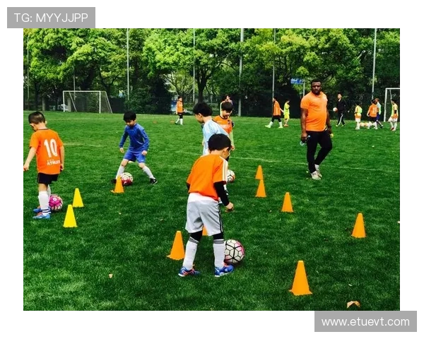 明升体育足球篮球等热门体育项目投注技巧全攻略